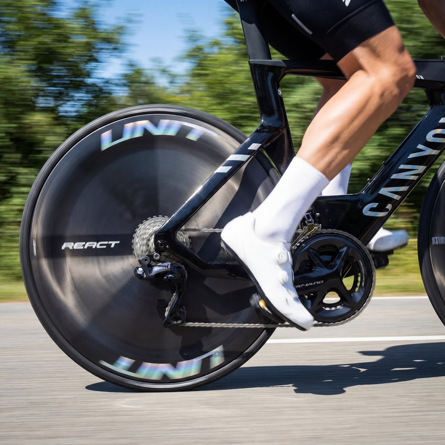 REACT DISC