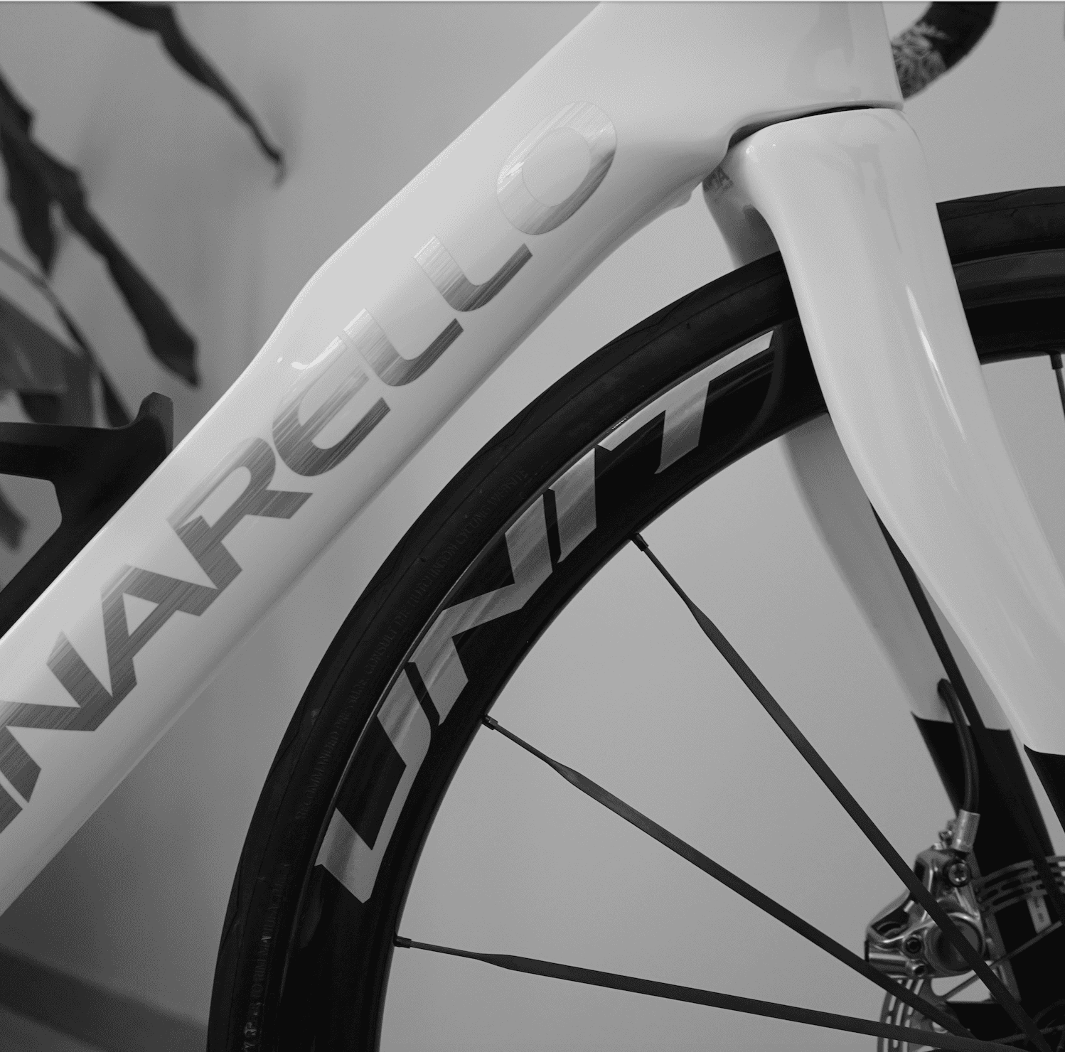 Comment choisir ses roues de vélo carbone personnalisées ?